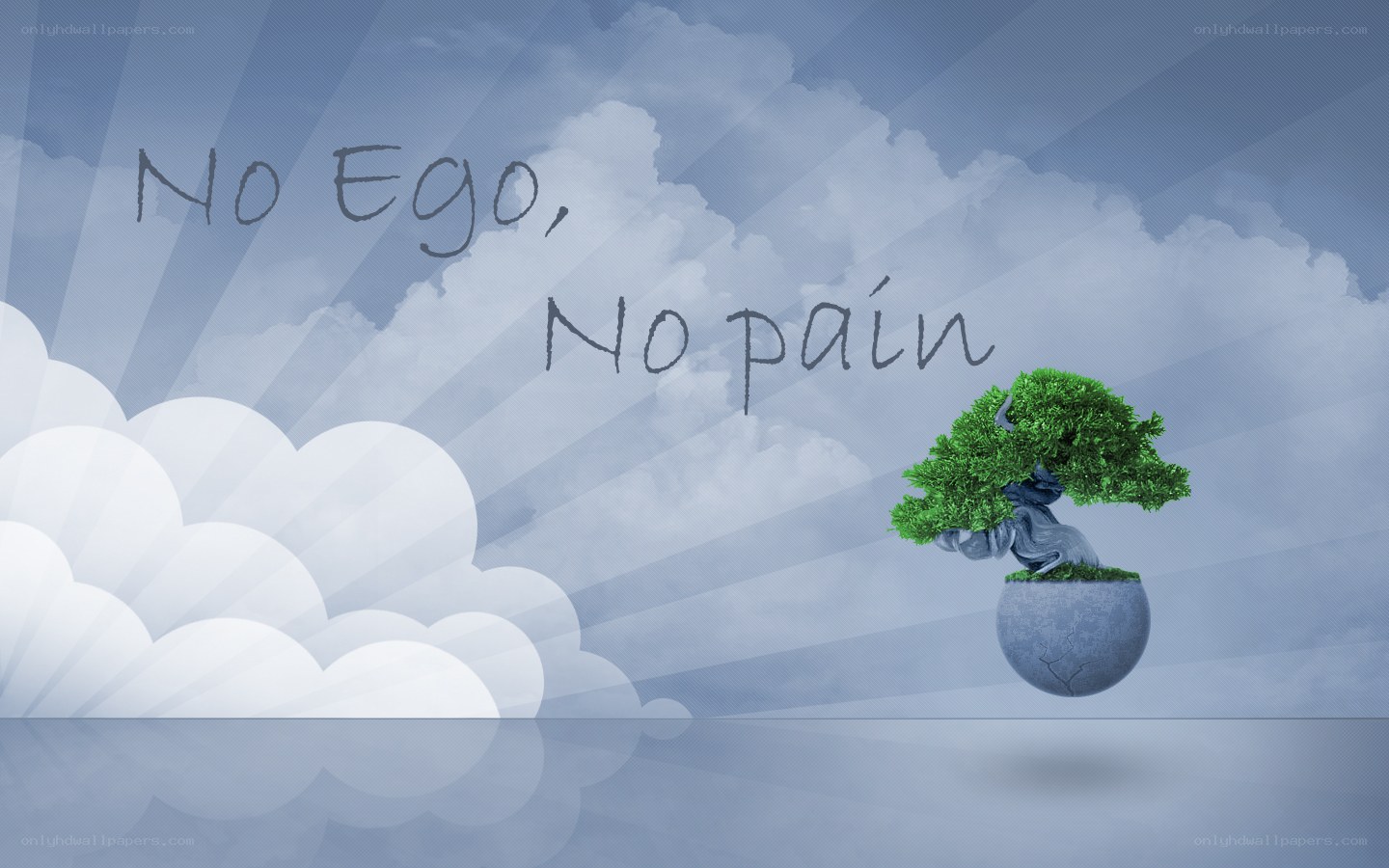 No Ego No Pain