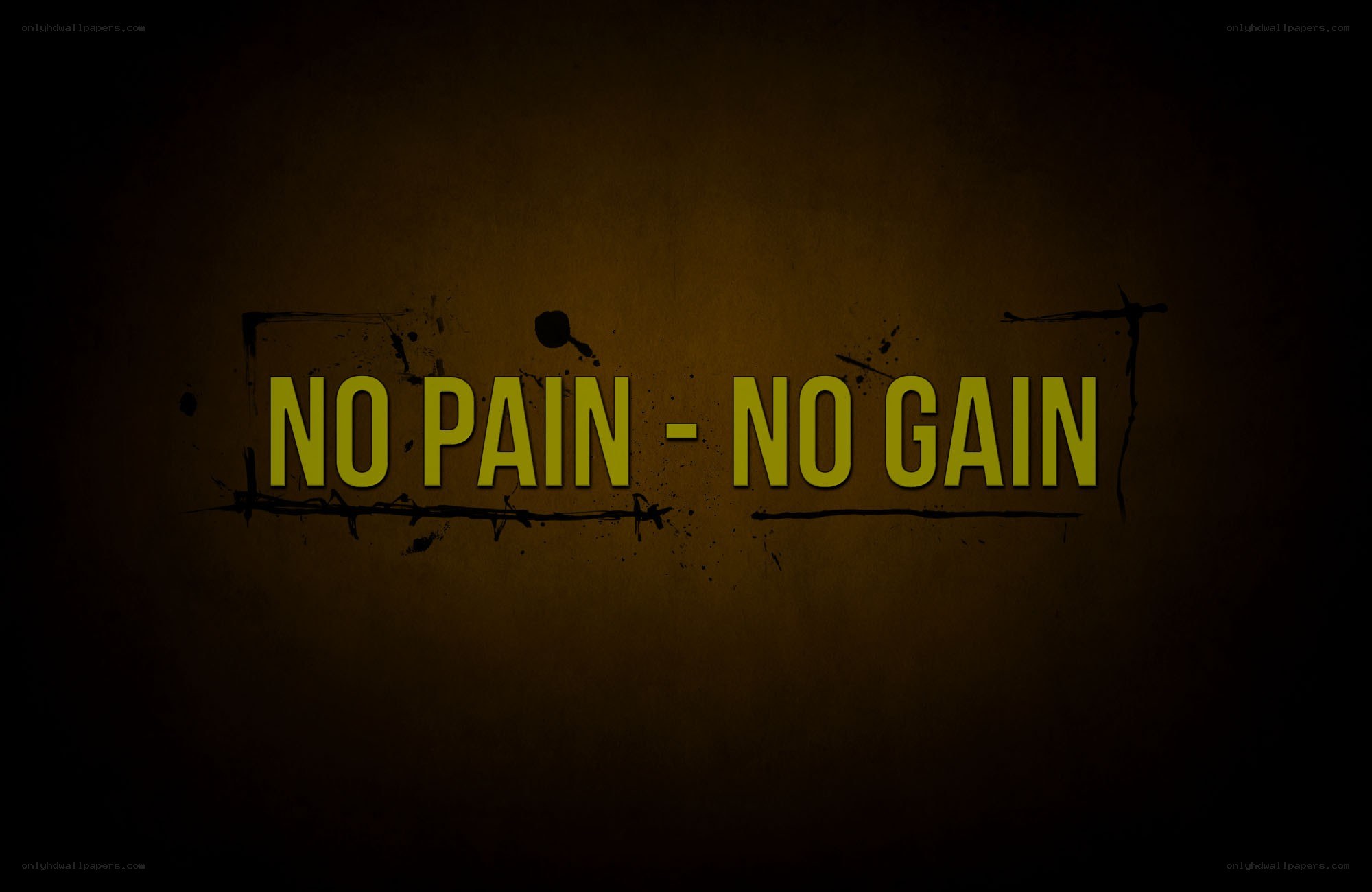 no pain no gain text