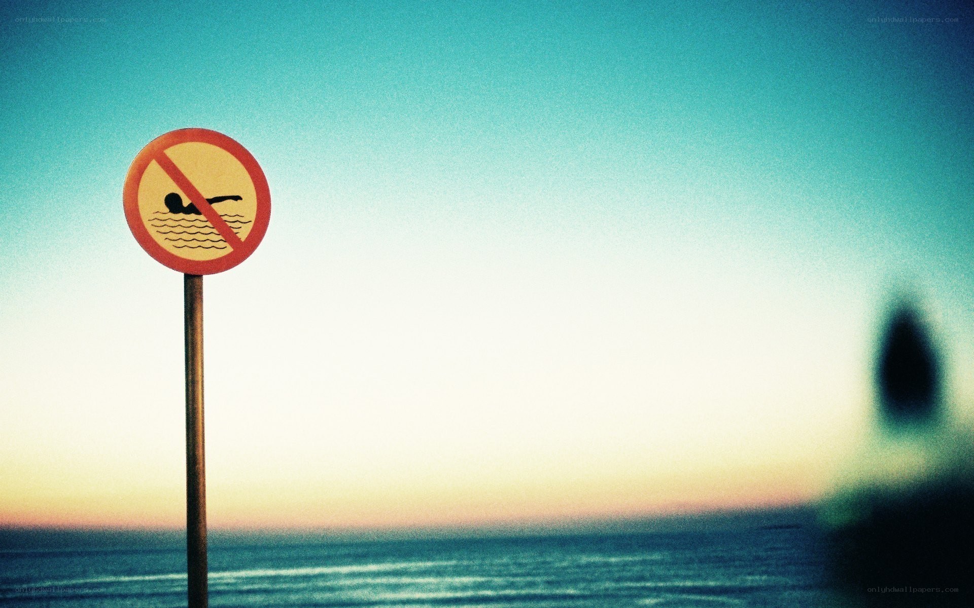 No swimming sign at sunset
