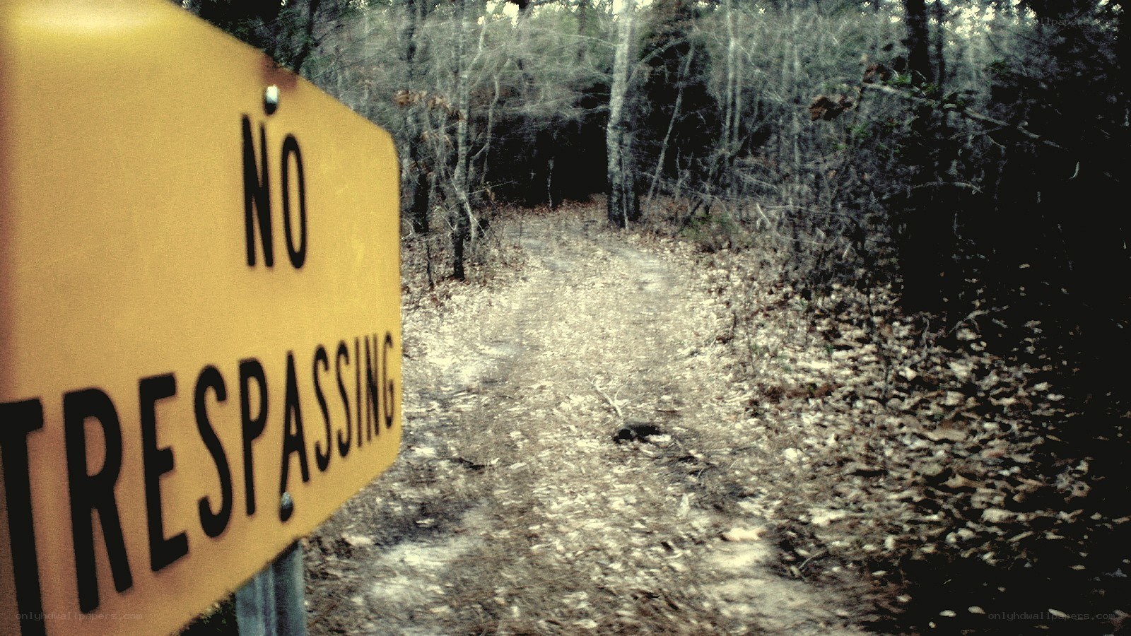 No Trespassing sign in forest
