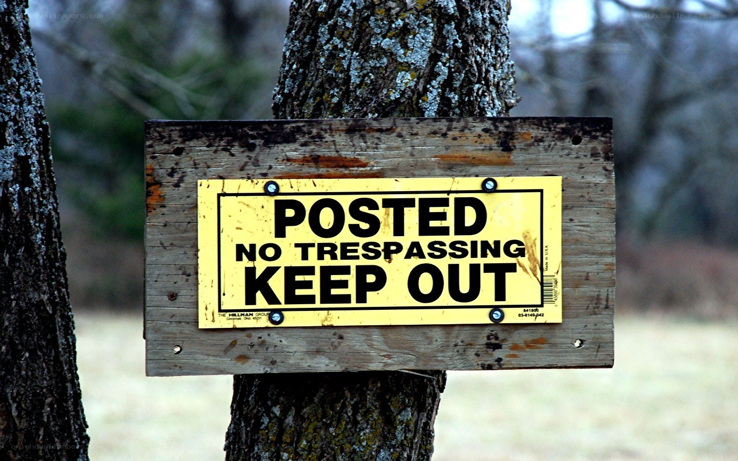 No trespassing sign on tree