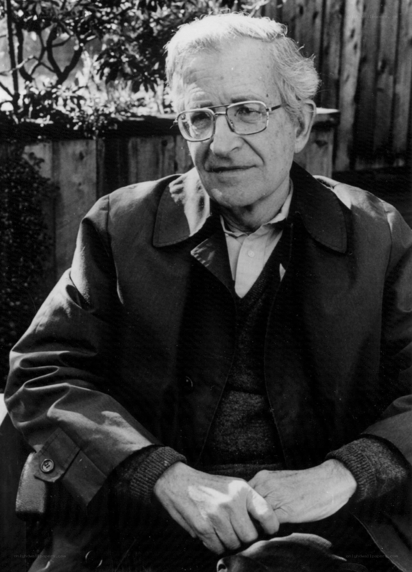 Noam Chomsky portrait