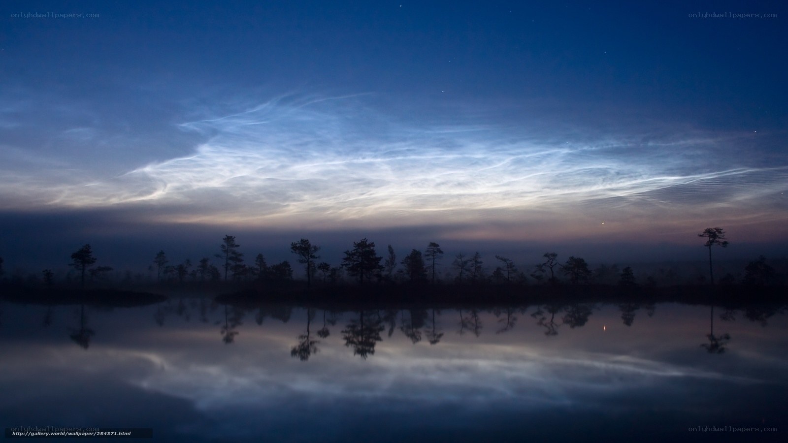 Noctilucent clouds over a lake