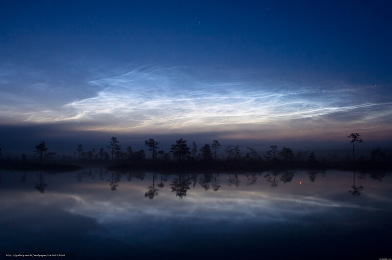 Noctilucent clouds over a lake