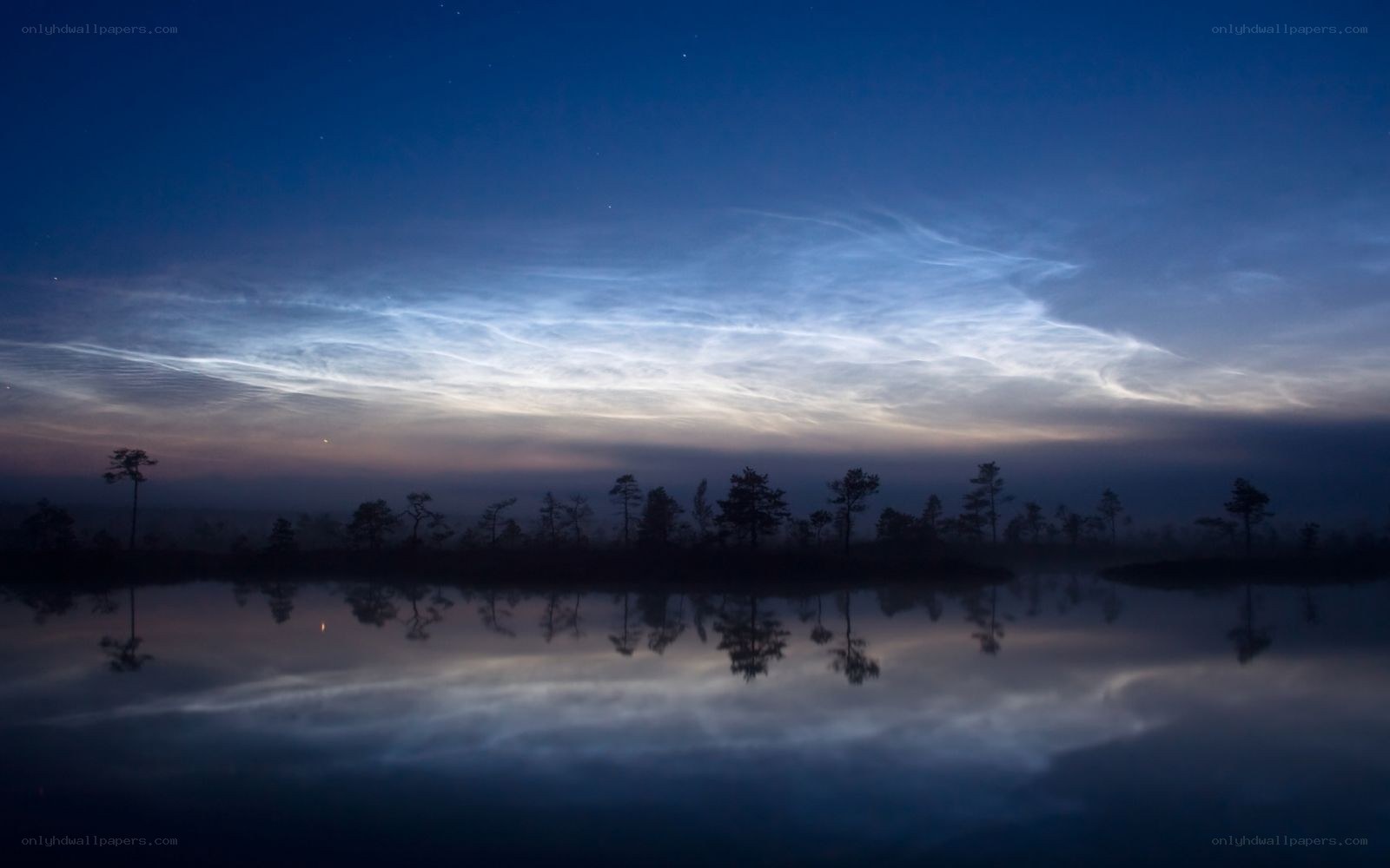 Noctilucent clouds over a marsh