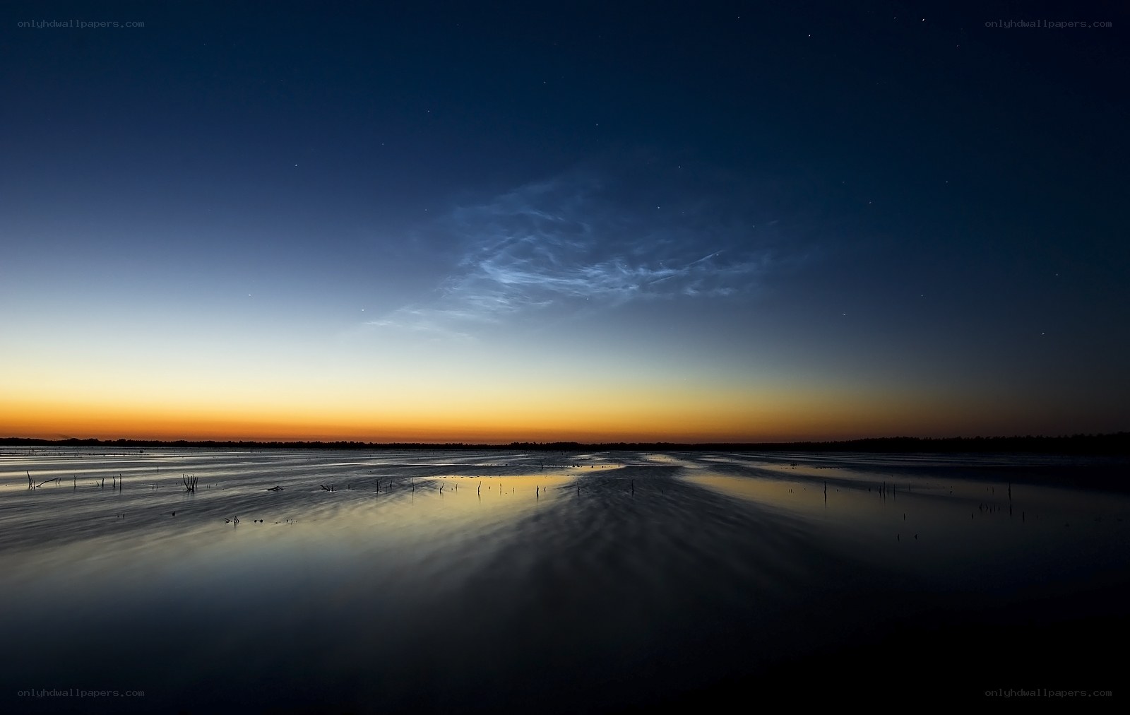 Noctilucent clouds over wetlands