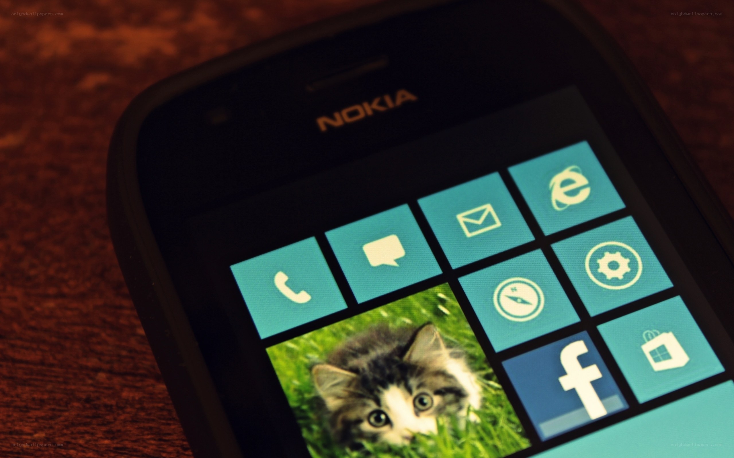 Nokia phone with kitten wallpaper
