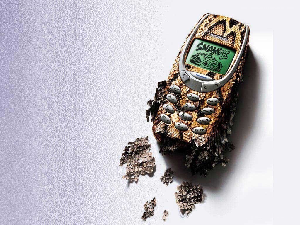 Nokia phone with snake skin