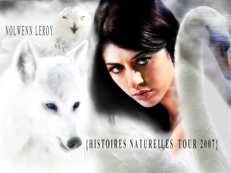 Nolwenn Leroy tour poster