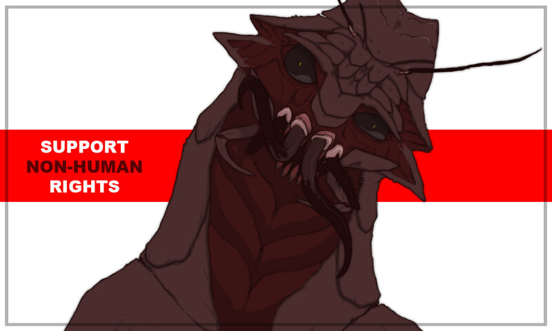 Non-human rights support