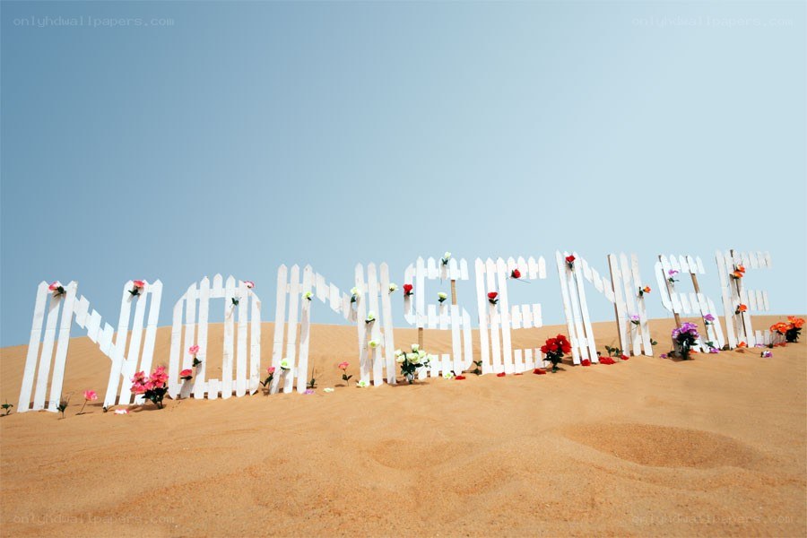 nononsense in the desert
