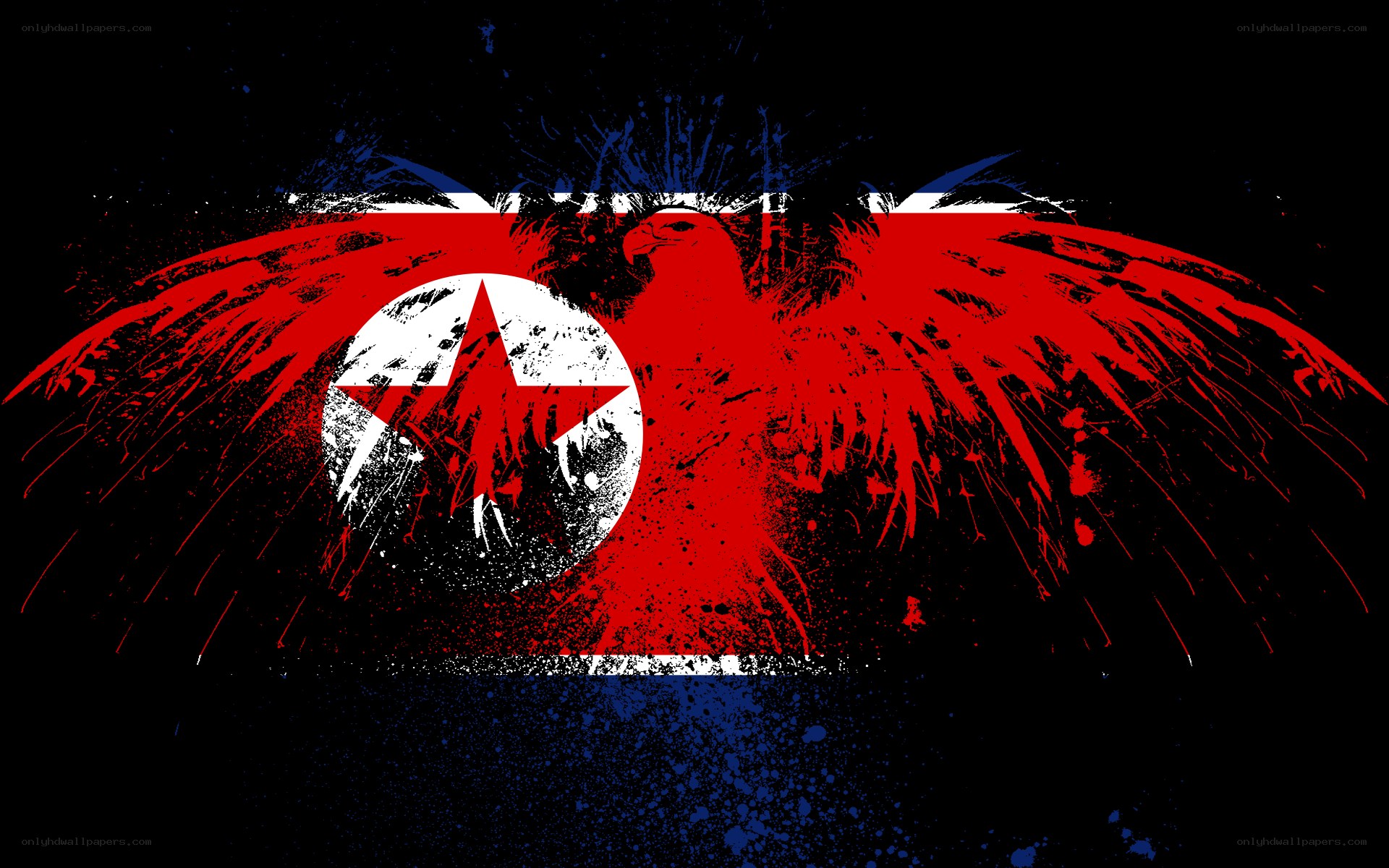 North Korean flag with eagle