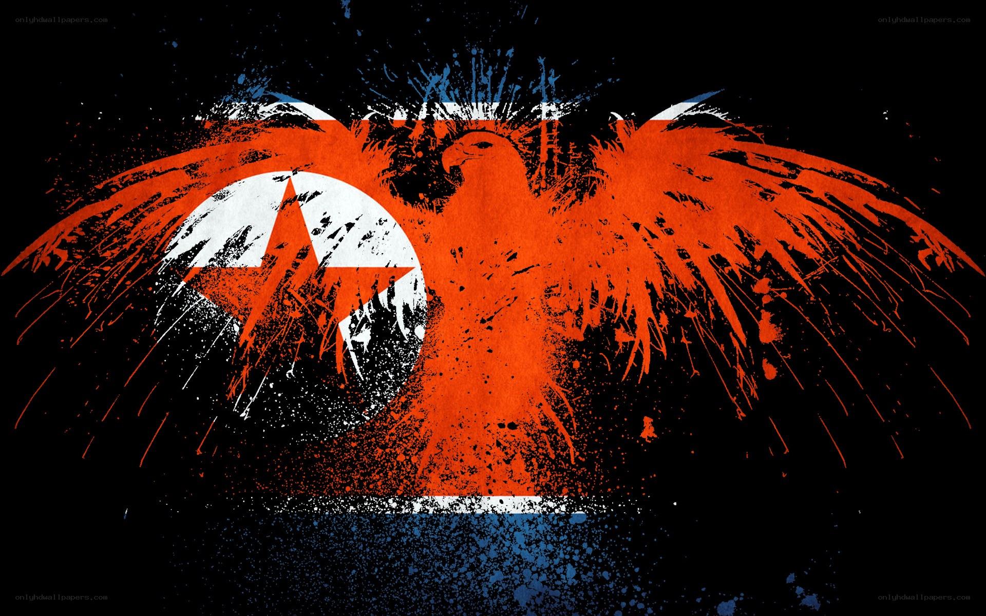 North Korean flag with eagle