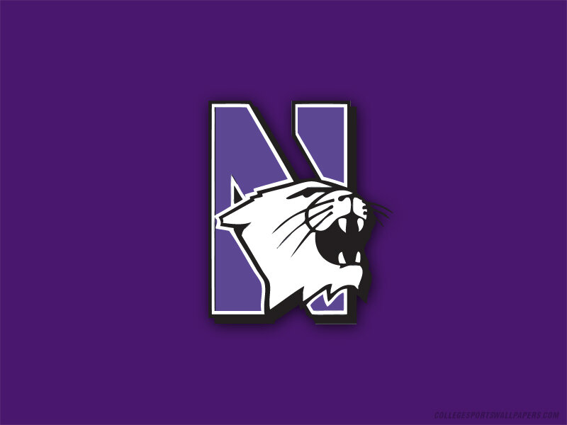 Northeastern Huskies logo