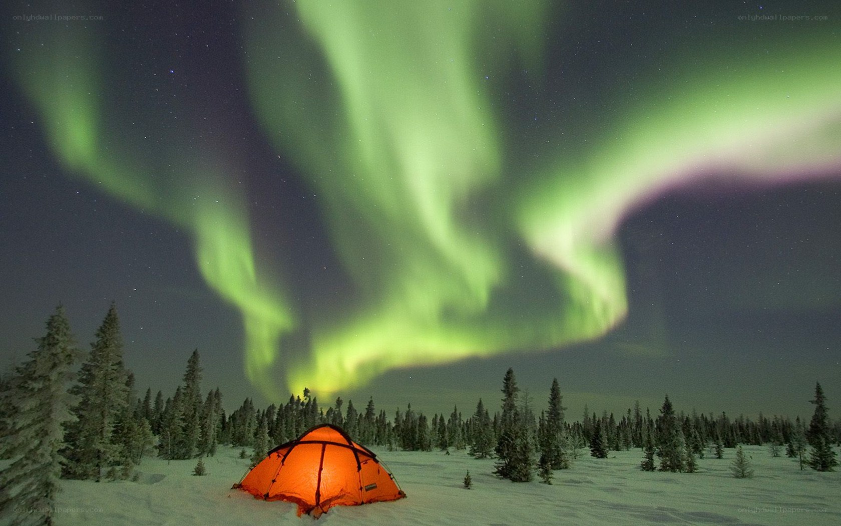 Northern Lights over a tent