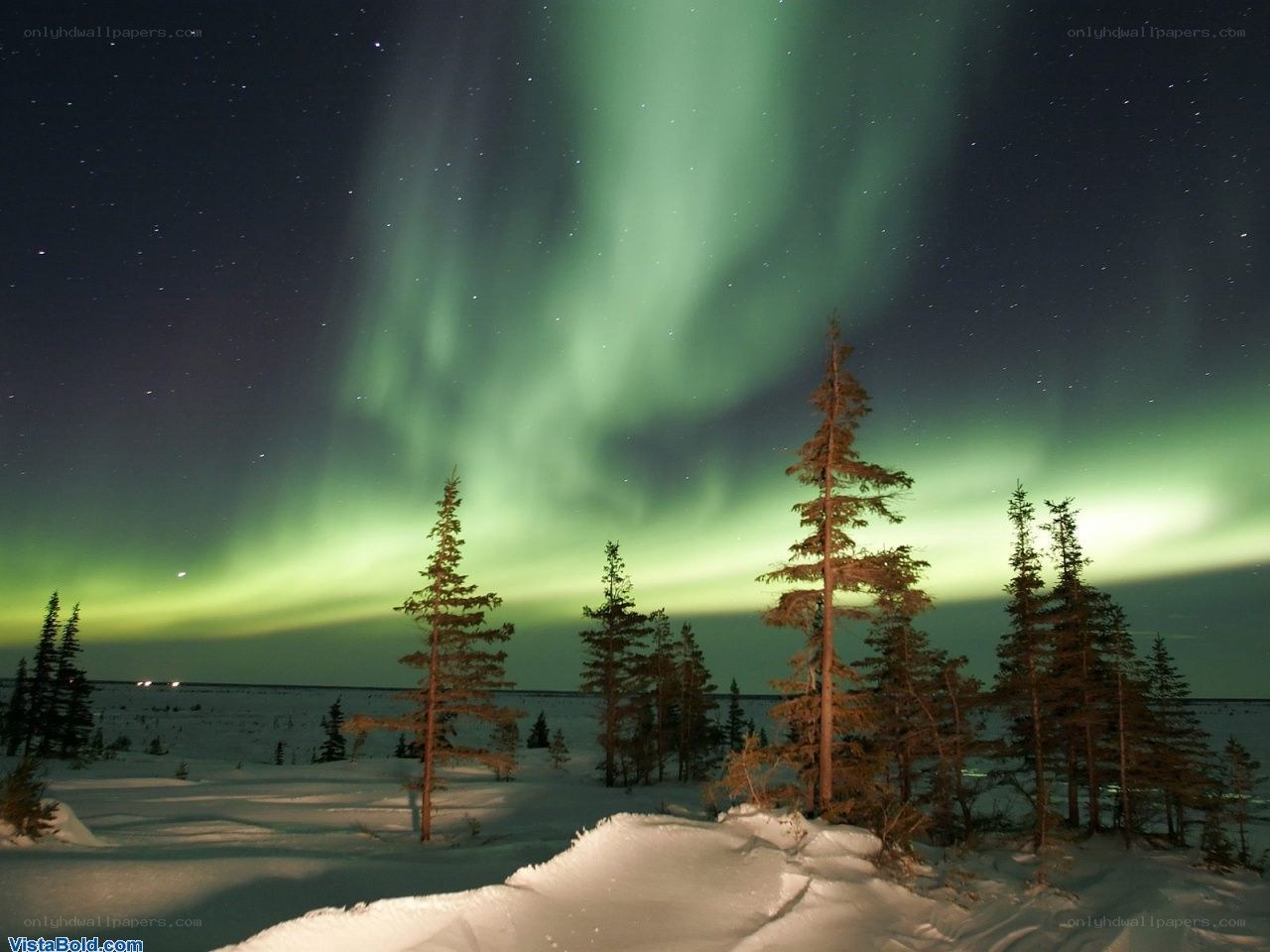 Northern Lights over snowy forest