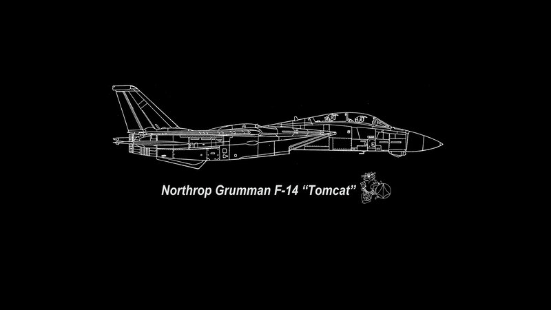 Northrop Grumman F-14 Tomcat — Black, Technical