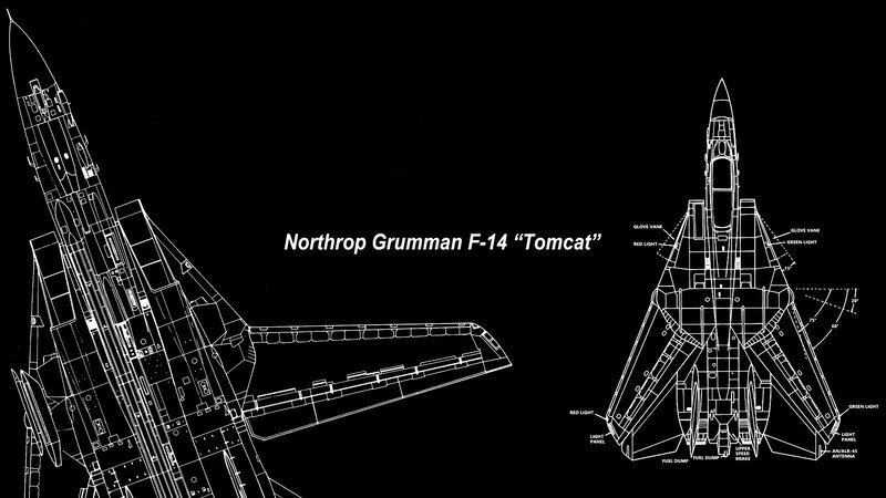 Northrop Grumman F-14 Tomcat — Black