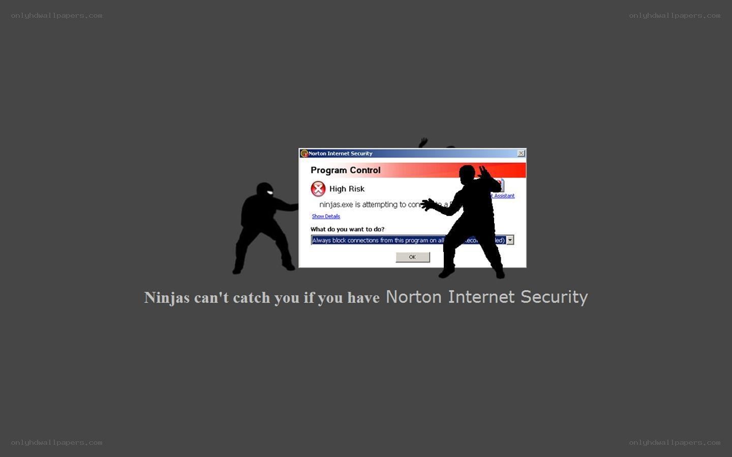 Norton Security Defense