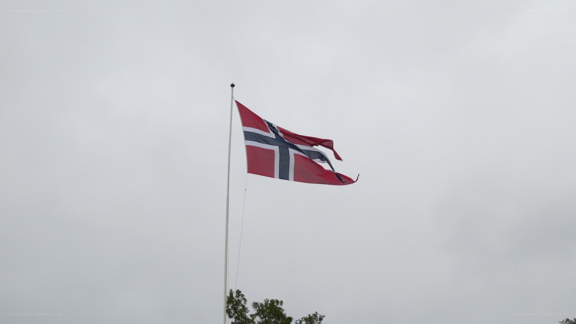 Norwegian flag waving in wind