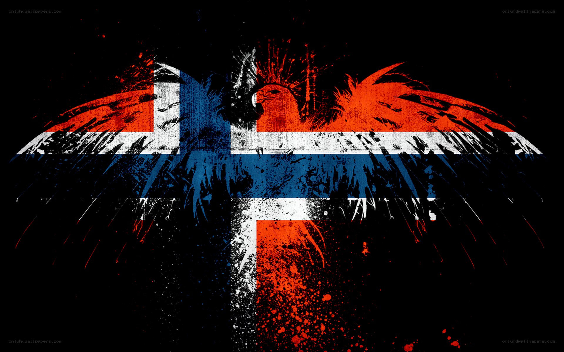 Norwegian flag with eagle art
