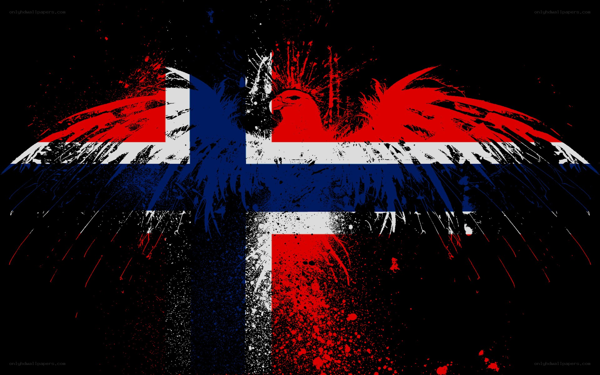Norwegian flag with eagle