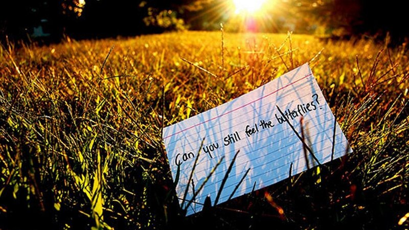 Note in Grass — Yellow