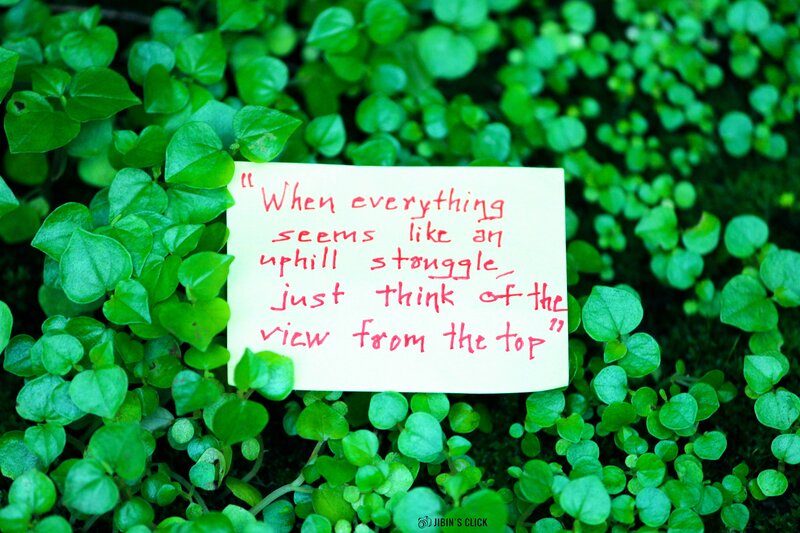 Note in Green Plants