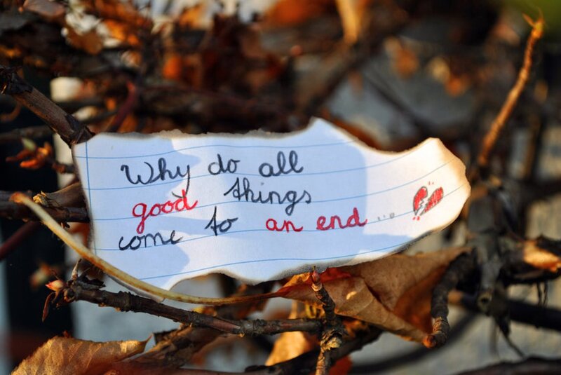 Note on Autumn Branches