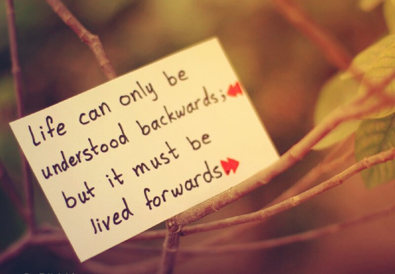 Note on Tree Branch — Brown