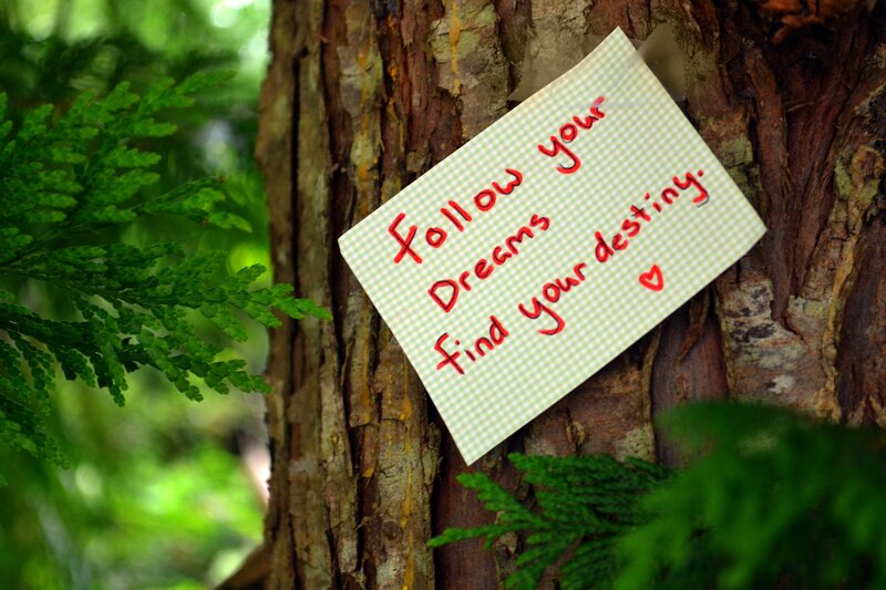Note on Tree Trunk — Green