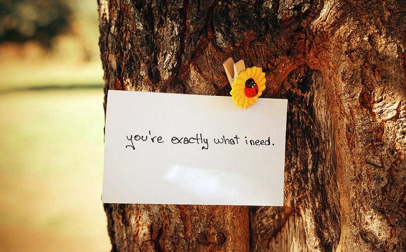Note on Tree Trunk