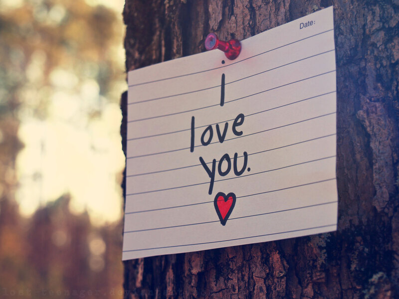 Note on Tree Trunk — White