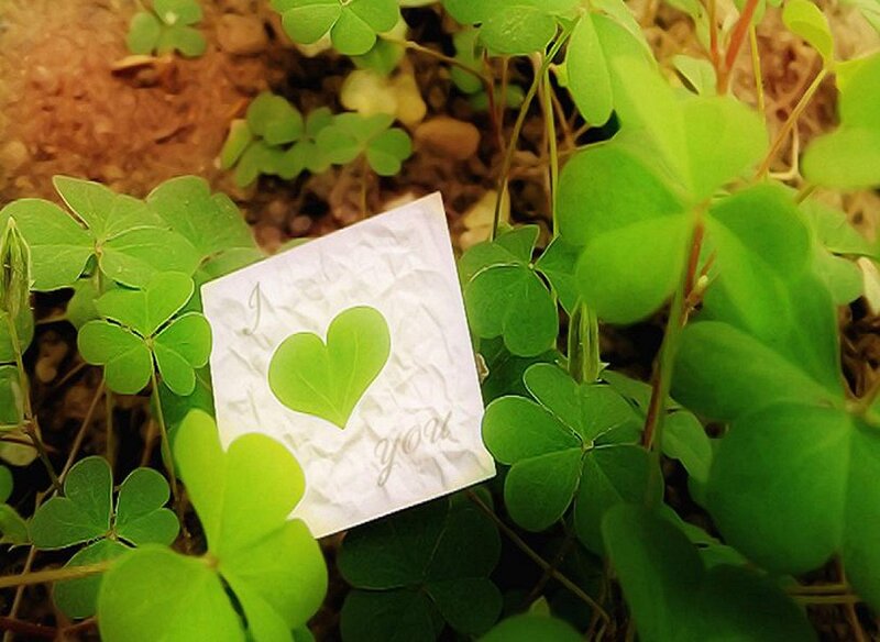 Note with Heart in Clovers