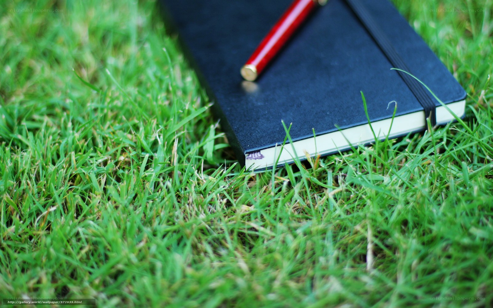 notebook and pen on grass