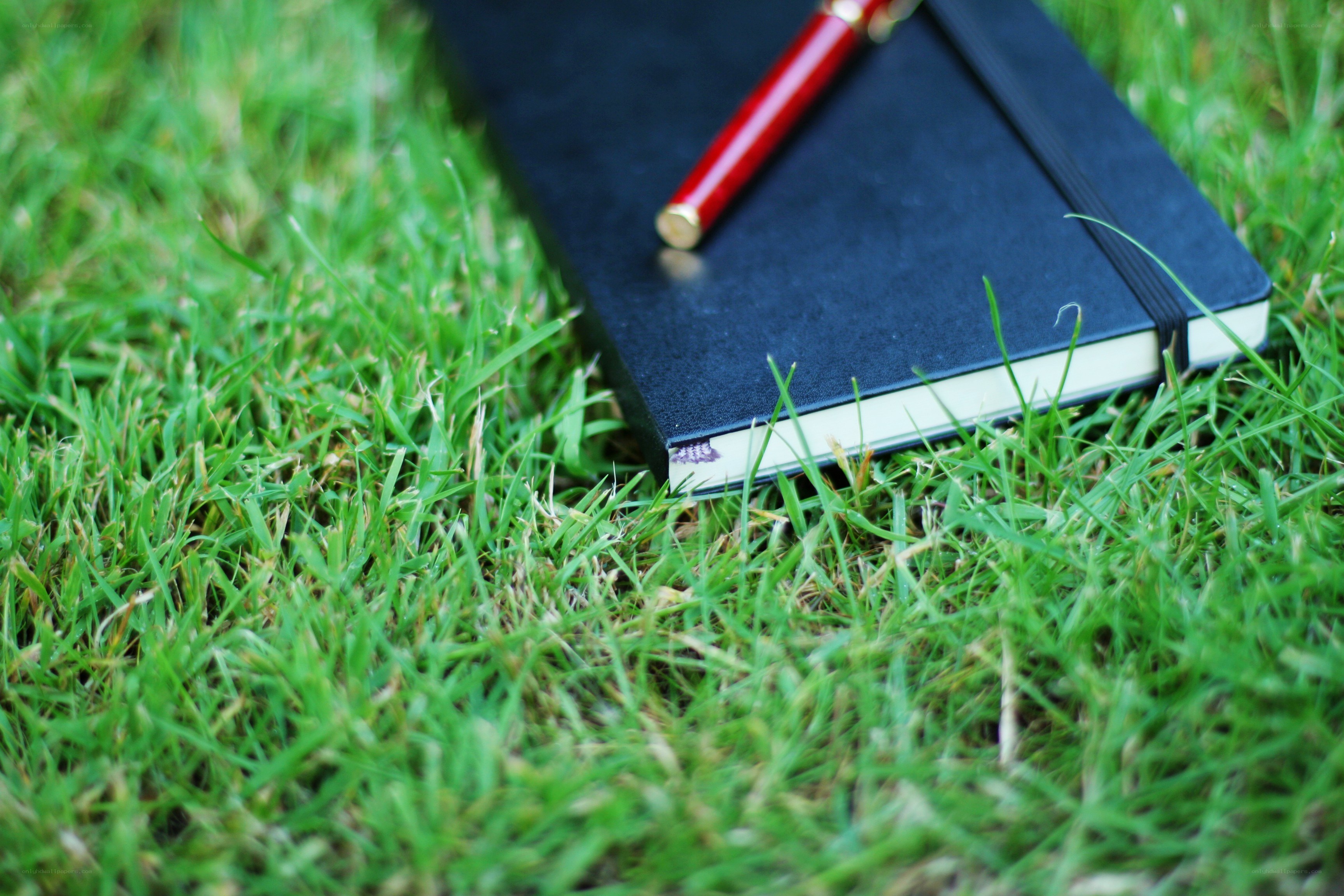 notebook and pen on grass