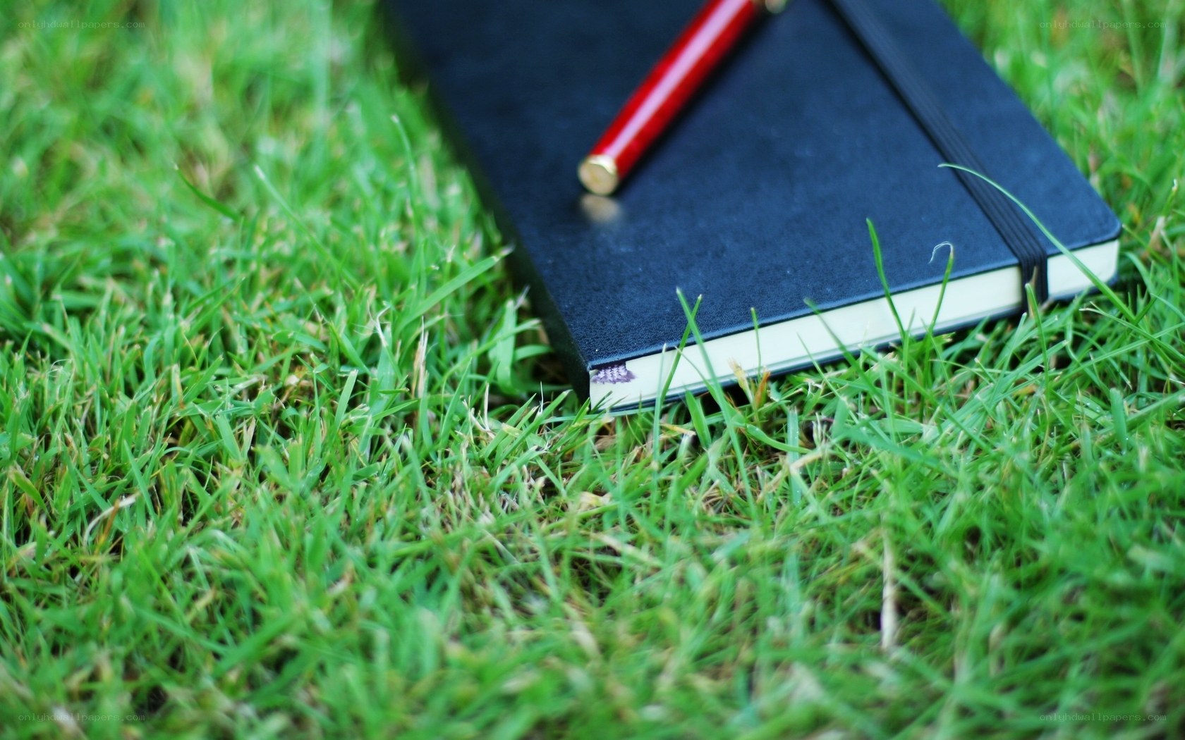 notebook and pen on grass