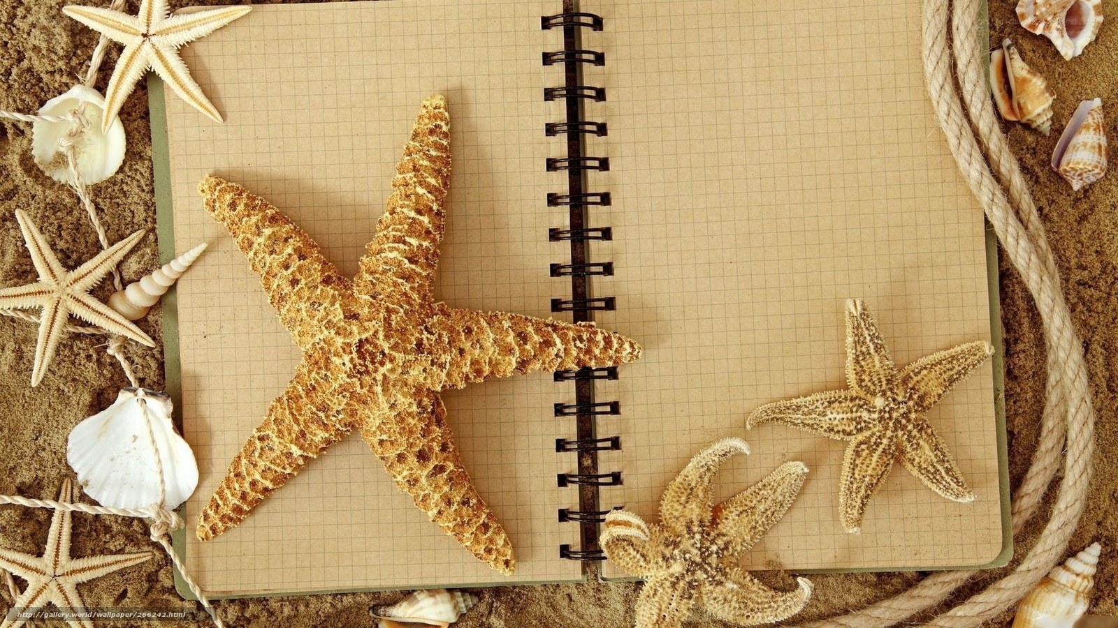 notebook with starfish and shells