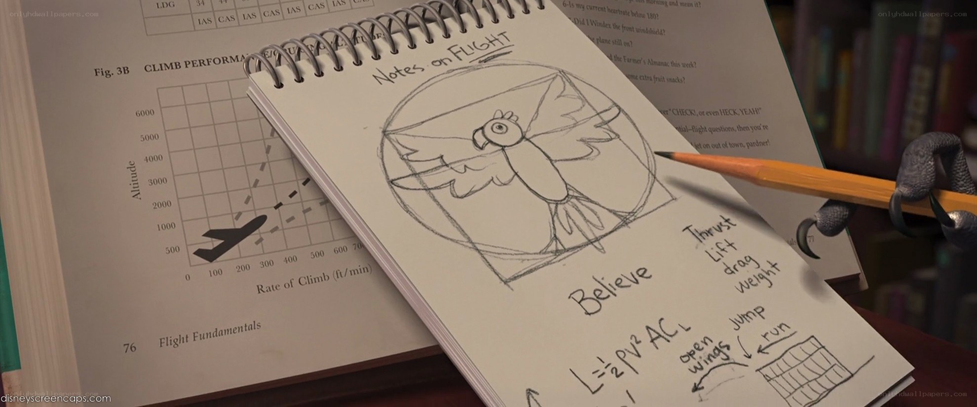notes on flight sketch