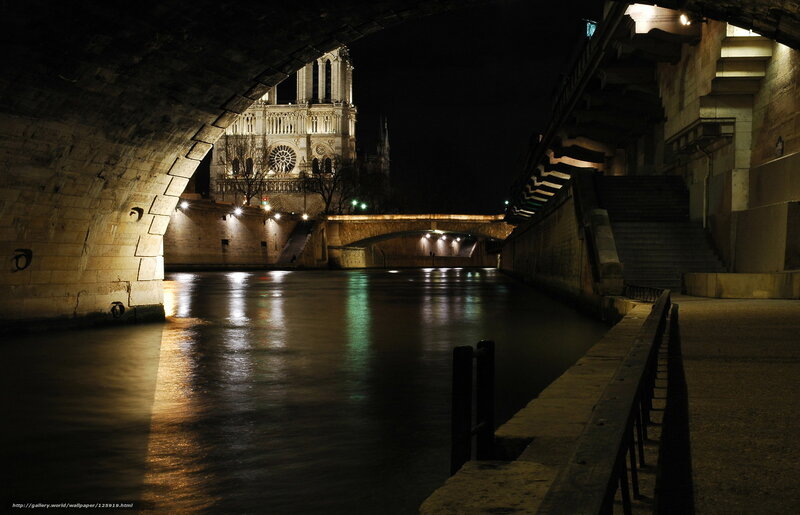Notre-Dame at night from under a bridge