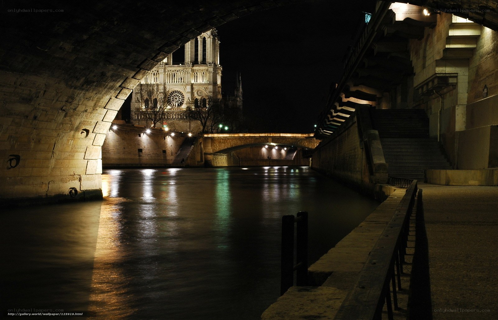 Notre-Dame at night from under a bridge