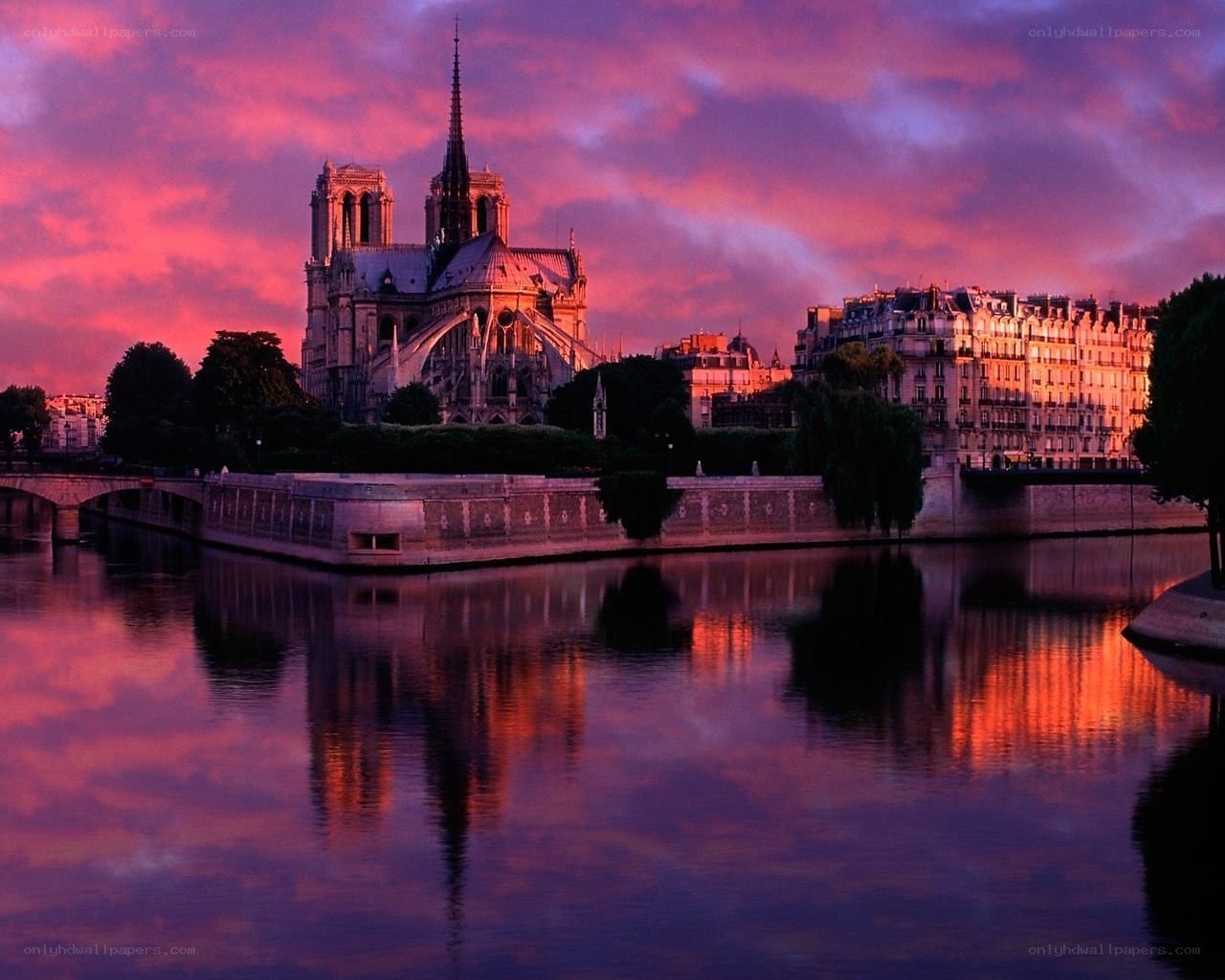 Notre-Dame at sunset