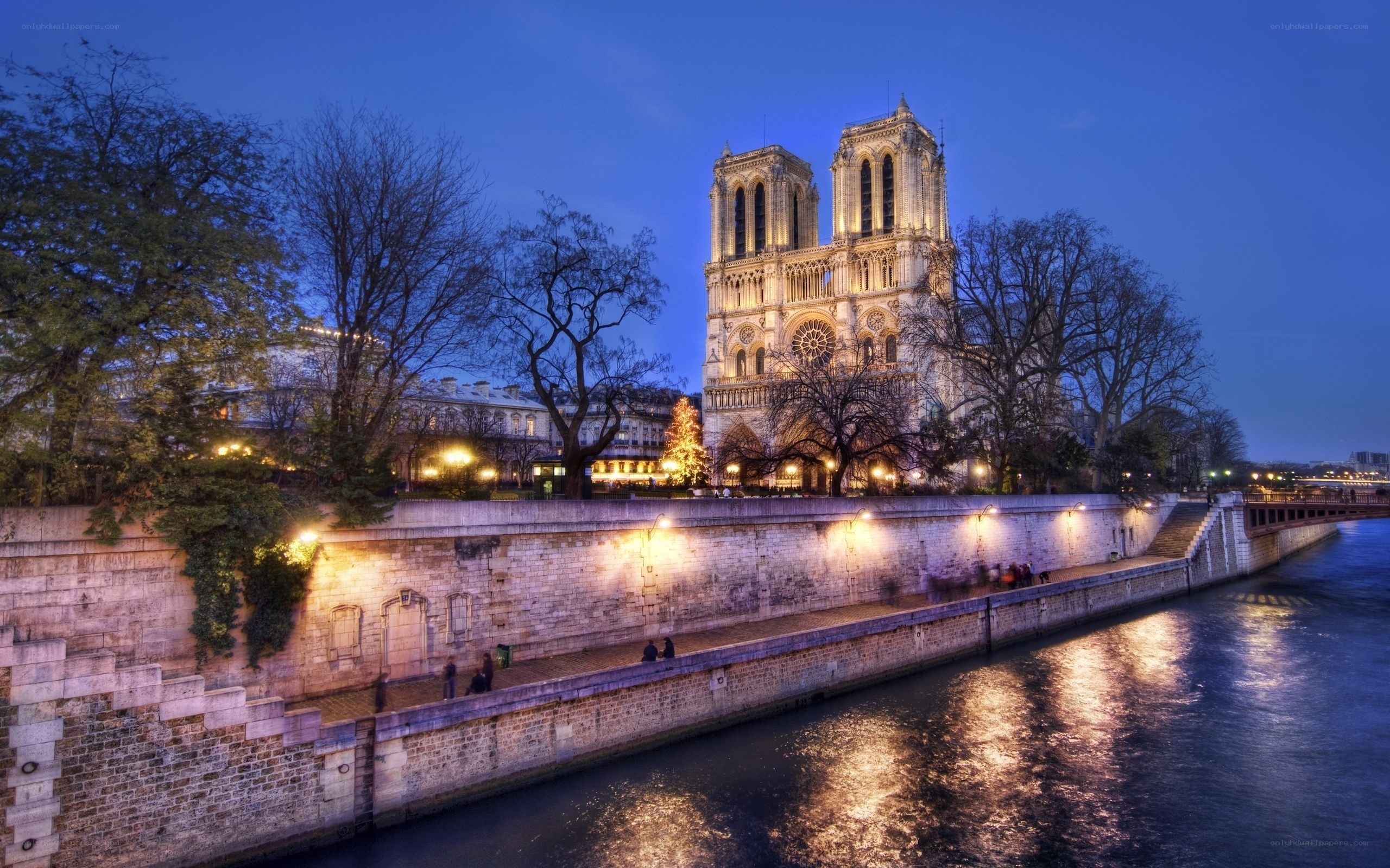 Notre-Dame Cathedral at dusk
