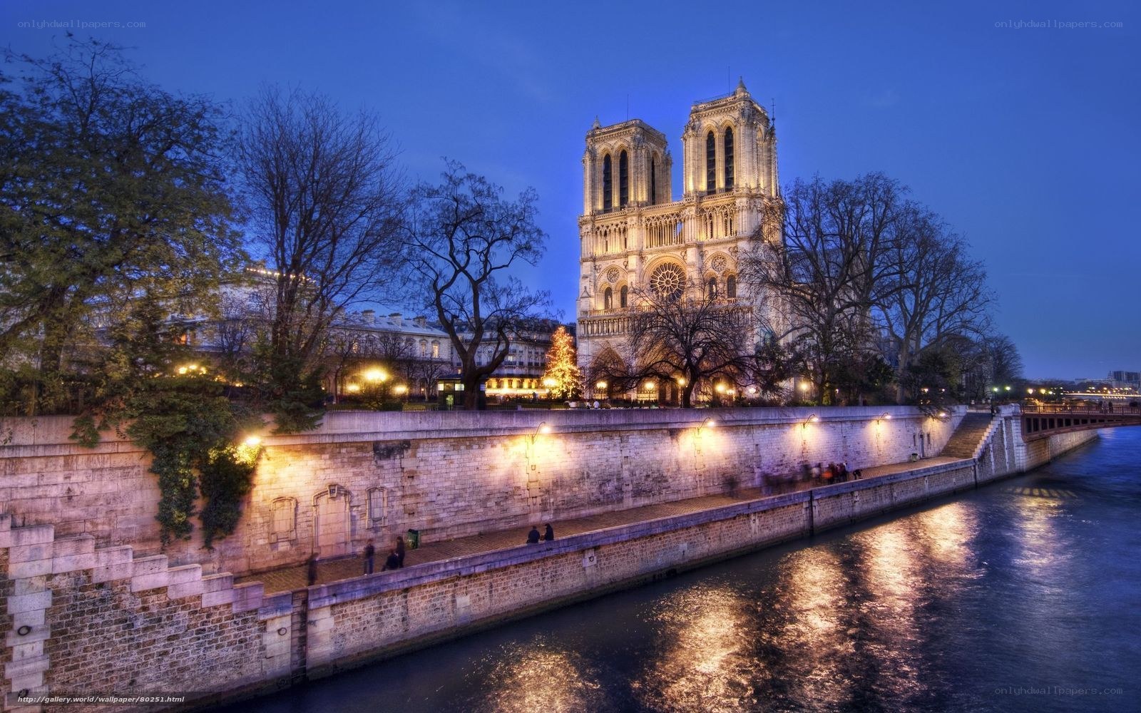 Notre-Dame Cathedral at dusk