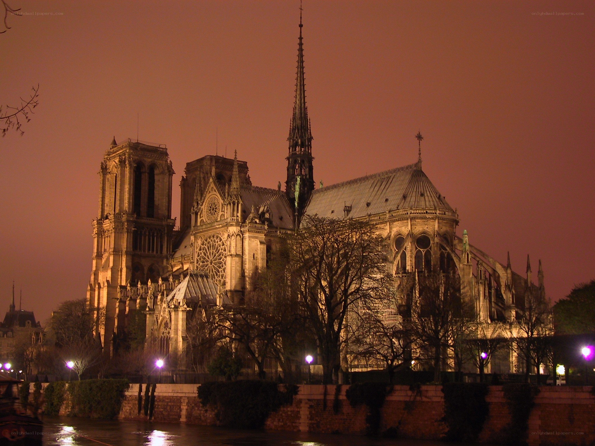 Notre-Dame Cathedral at night