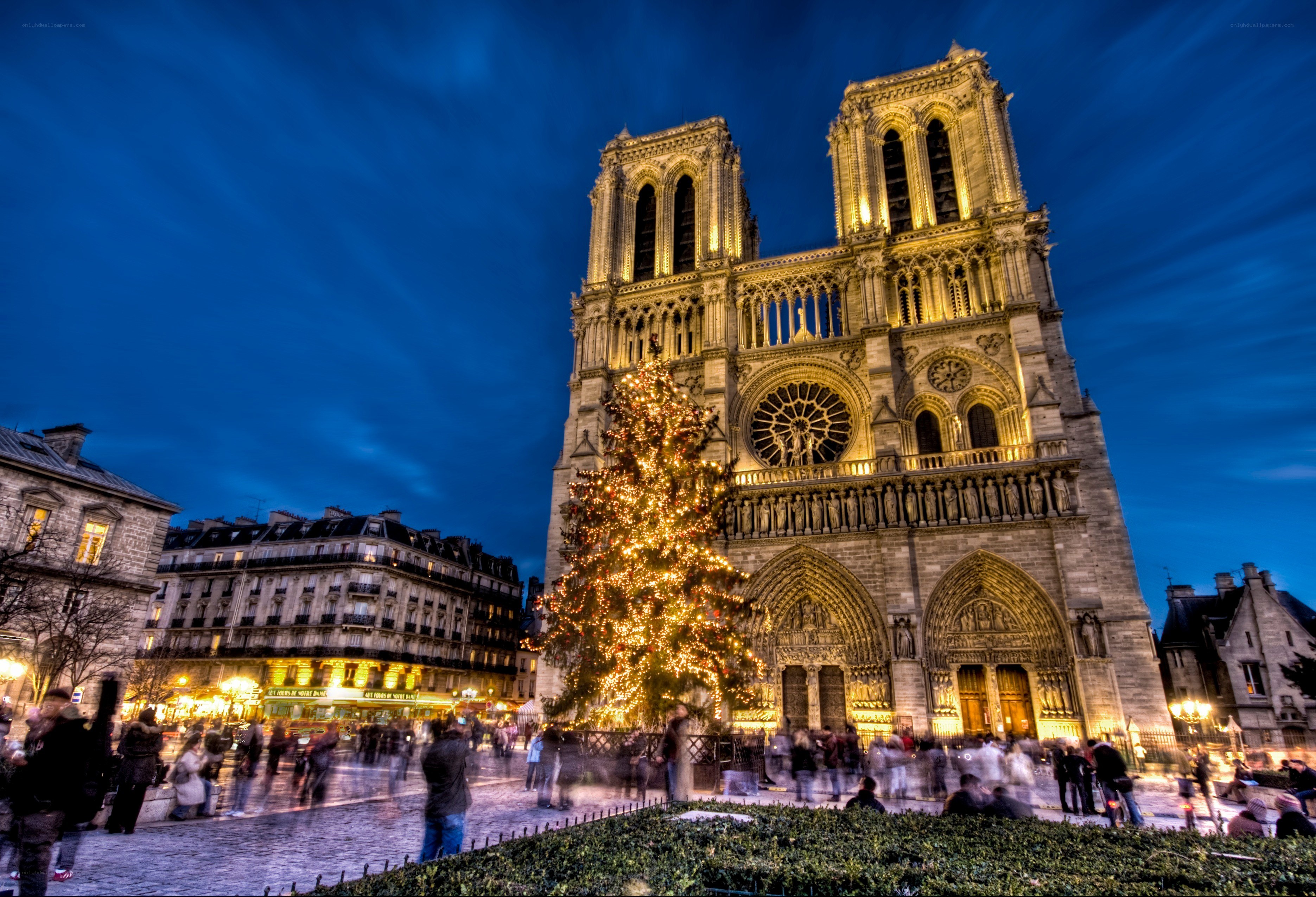 Notre-Dame Cathedral at night