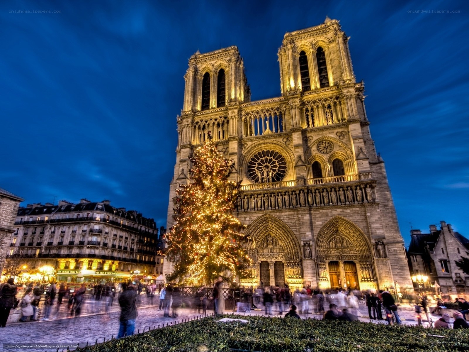 Notre-Dame Cathedral at night