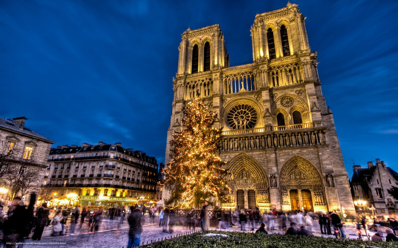Notre-Dame Cathedral — Blue, Festive, Night, Photograph