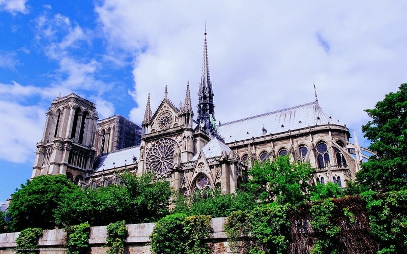 Notre-Dame Cathedral — Blue, Serene, Afternoon, Photograph, Trees, Sky