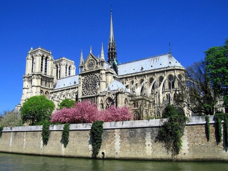 Notre-Dame Cathedral — Blue, Serene, Spring, Photograph, River, Trees